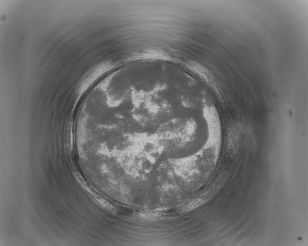 X0000081611274200702051345