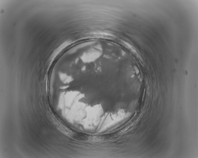 X0000081611275200702051345