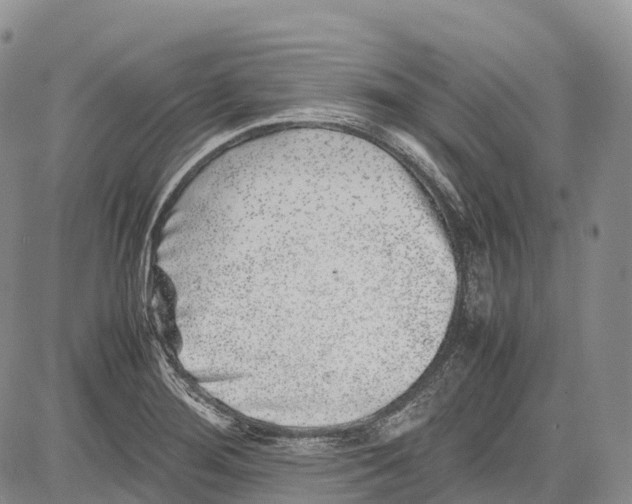 X0000081611276200702051345