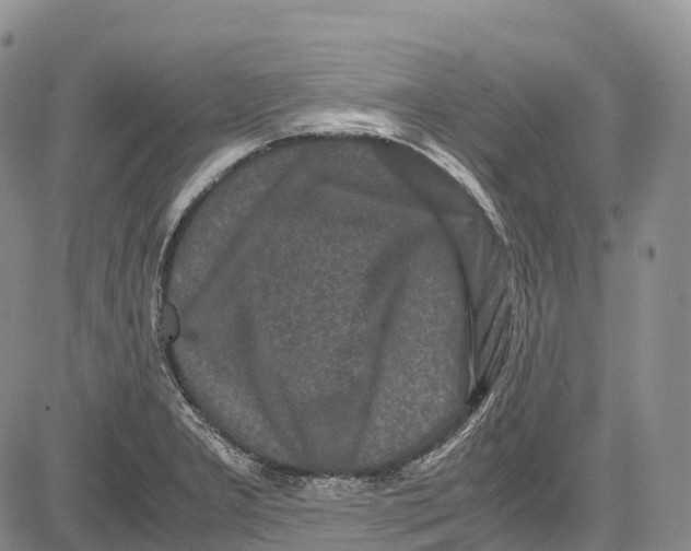 X0000081611277200702051345