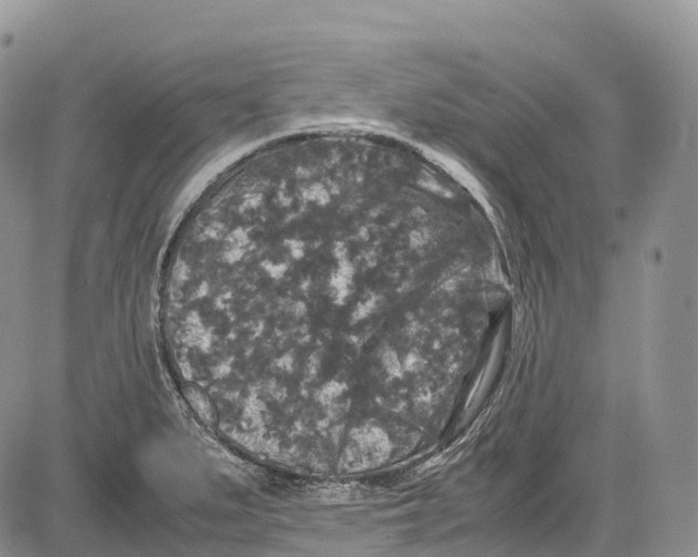 X0000081611279200702051345