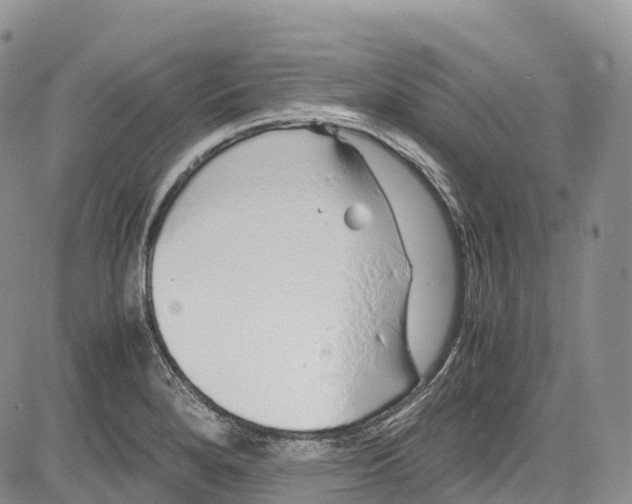 X0000081611280200702051345