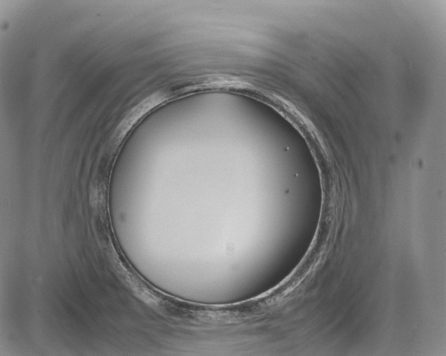 X0000081611281200702051345