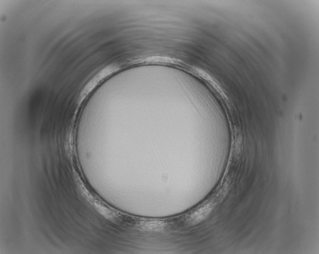 X0000081611282200702051345