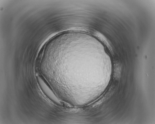 X0000081611284200702051345