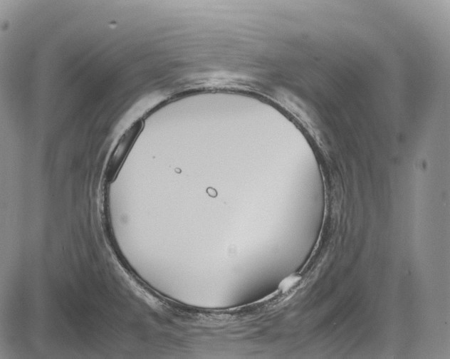 X0000081611285200702051345