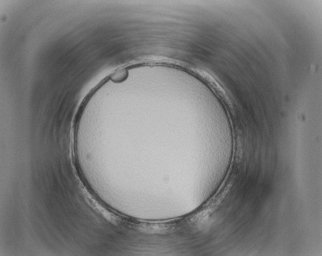 X0000081611286200702051345