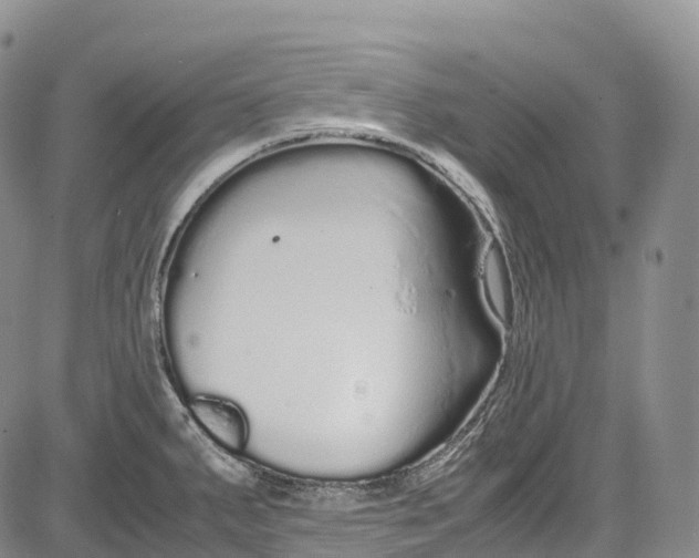 X0000081611287200702051345