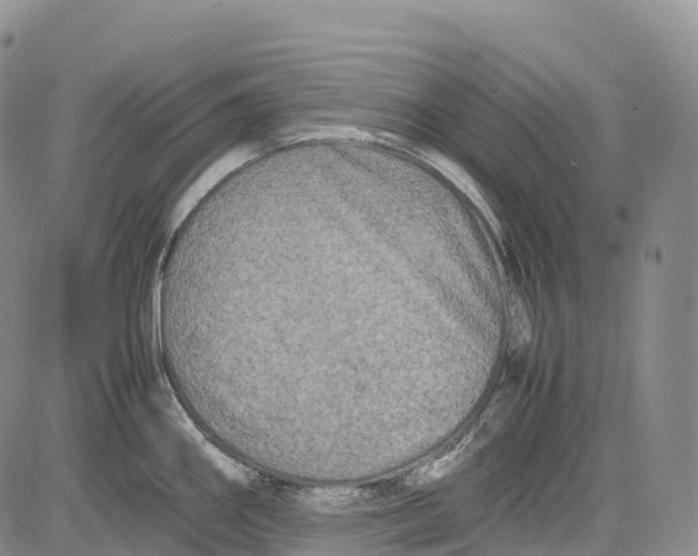 X0000081611290200702051345