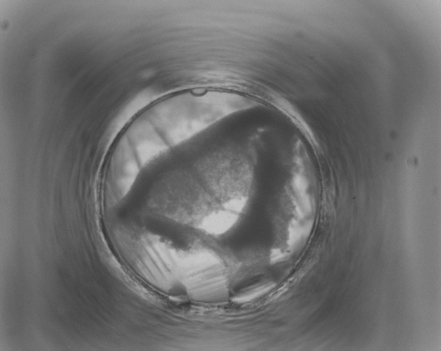 X0000081611291200702051345