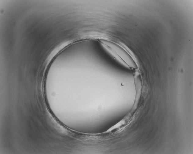 X0000081611293200702051345