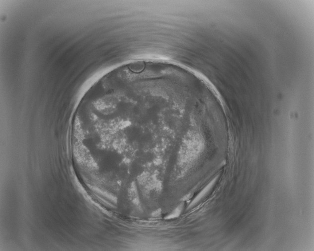 X0000081611295200702051345