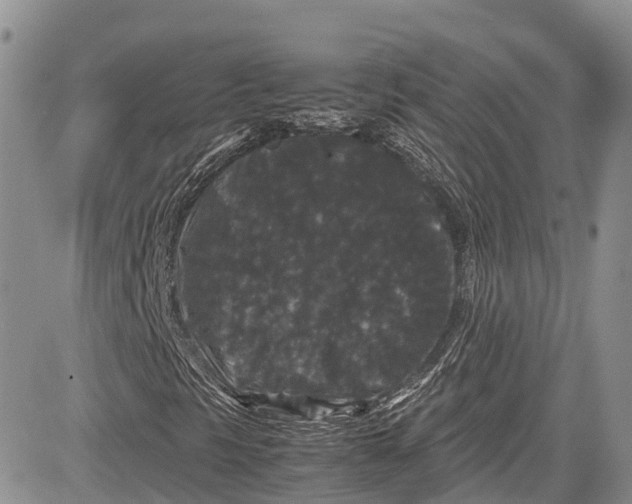 X0000081611297200702051344