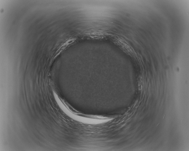 X0000081611298200702051344