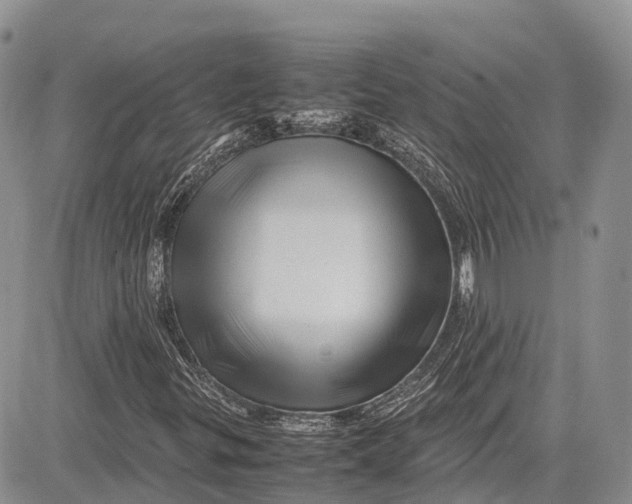 X0000081611299200702051344