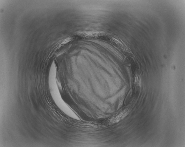 X0000081611300200702051344