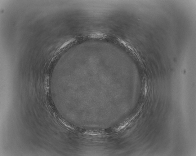 X0000081611301200702051344