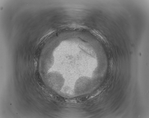 X0000081611302200702051344