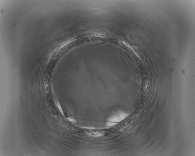 X0000081611303200702051344