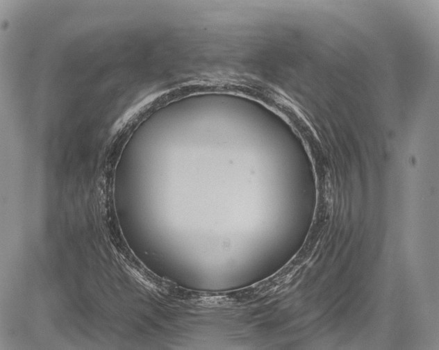 X0000081611304200702051344