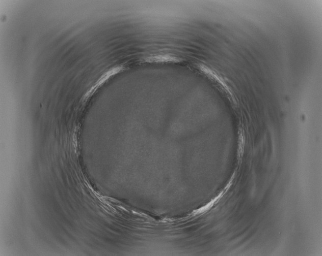 X0000081611305200702051344