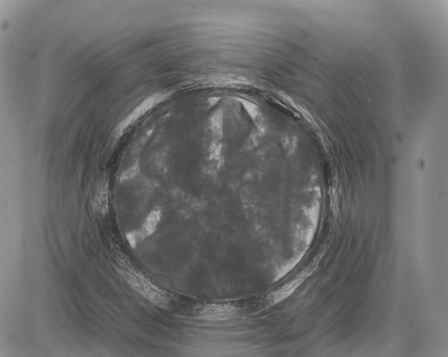 X0000081611306200702051344