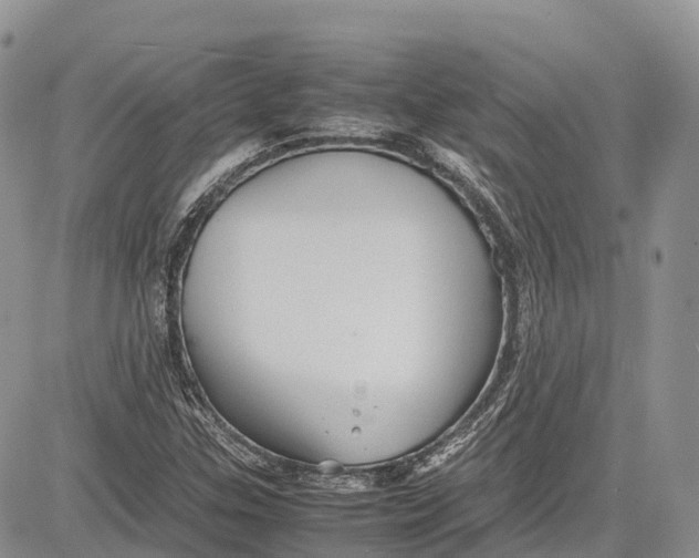 X0000081611307200702051344