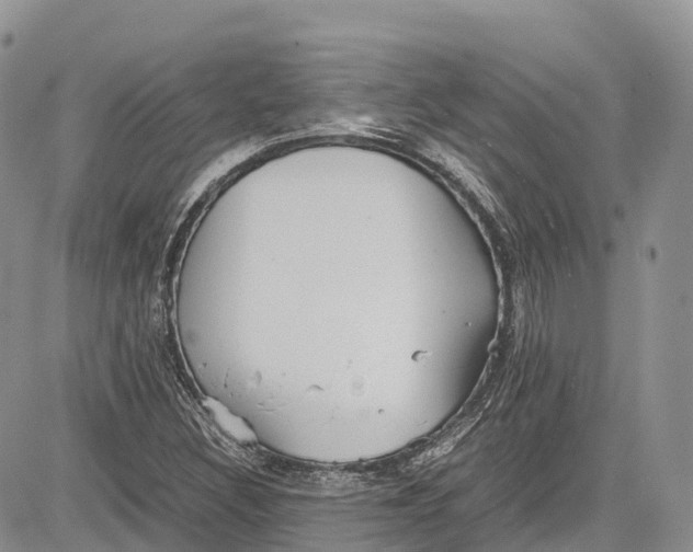 X0000081611308200702051344