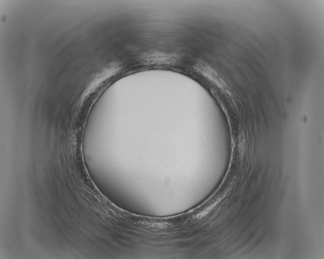 X0000081611309200702051344