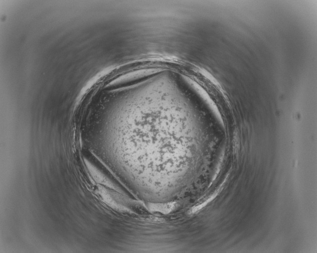 X0000081611310200702051344