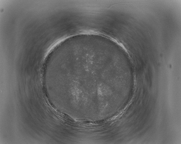 X0000081611311200702051344