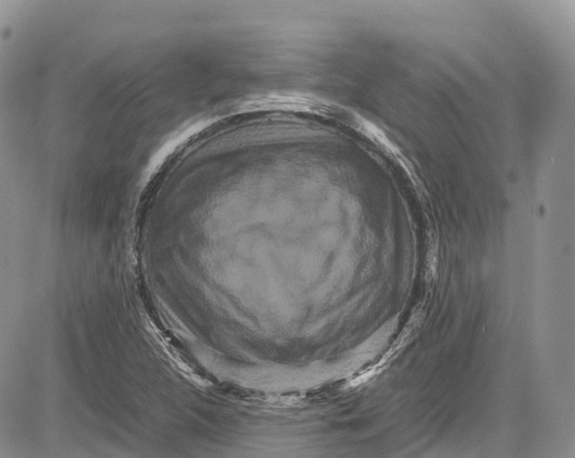 X0000081611312200702051344