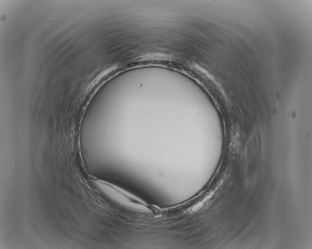 X0000081611313200702051344