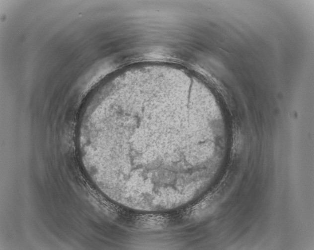 X0000081611314200702051344