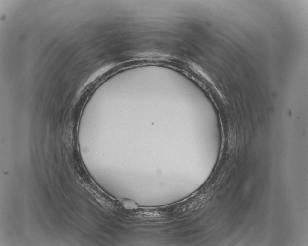 X0000081611315200702051344