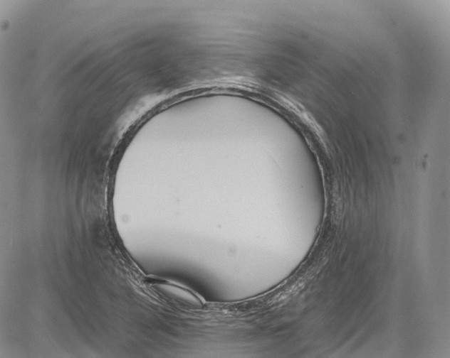 X0000081611316200702051344