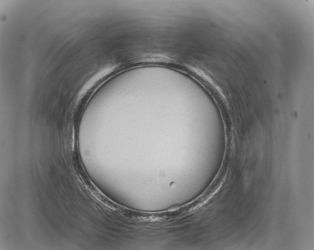 X0000081611317200702051344