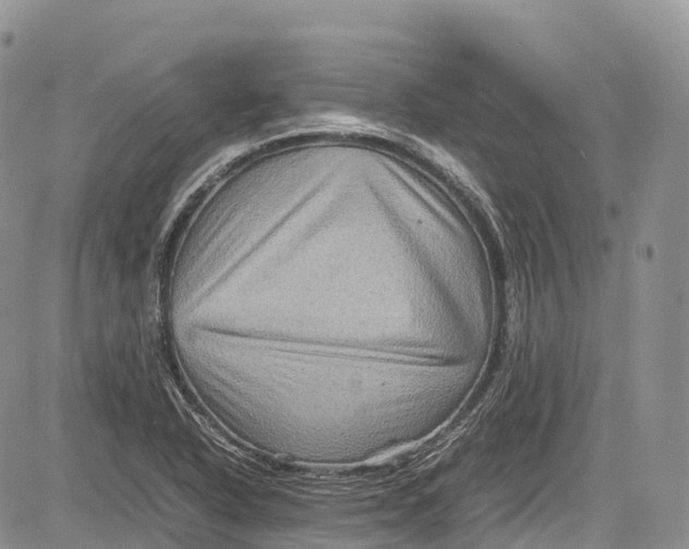 X0000081611318200702051344