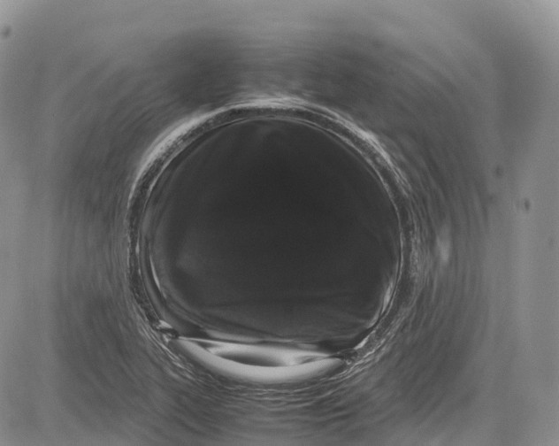 X0000081611319200702051344