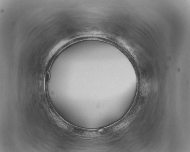 X0000081611320200702051344