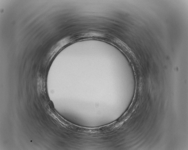 X0000081611321200702051344