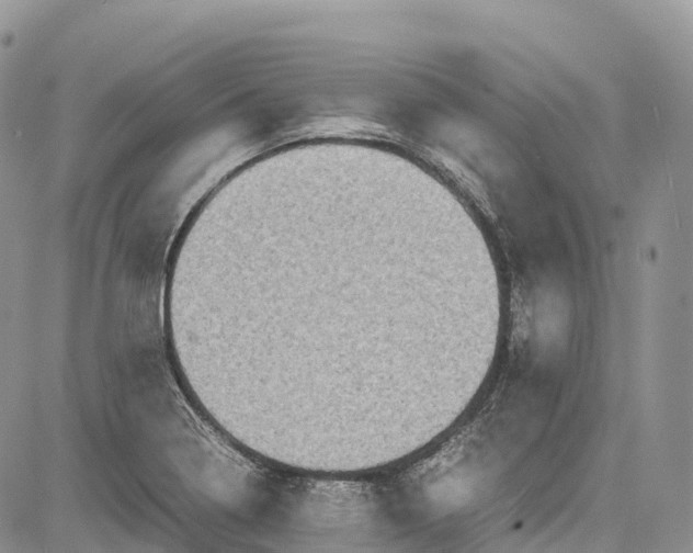 X0000081611322200702051344