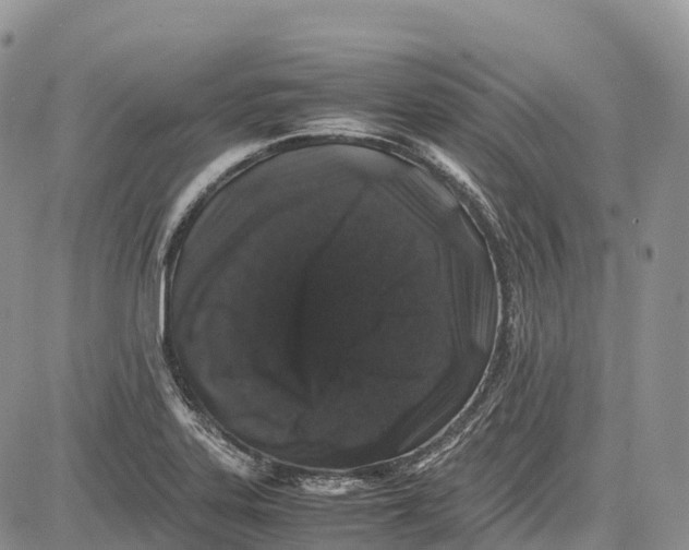 X0000081611323200702051344