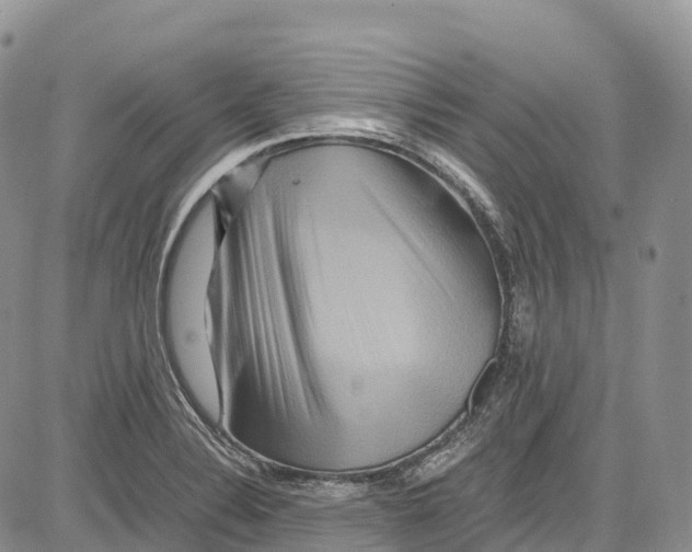 X0000081611324200702051344