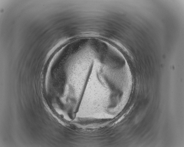 X0000081611325200702051344