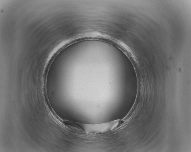 X0000081611326200702051344