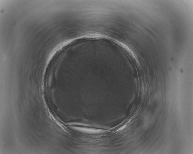 X0000081611327200702051344