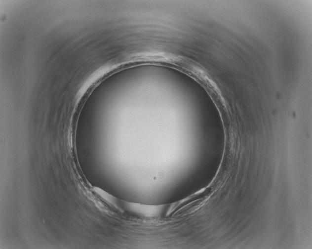 X0000081611328200702051344