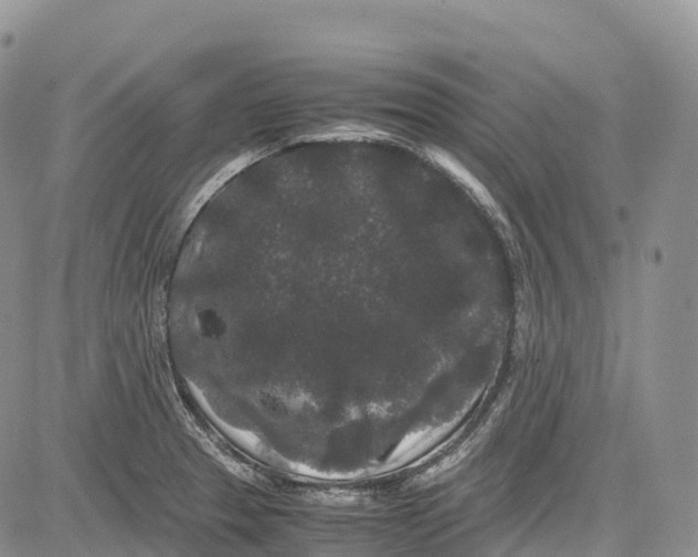 X0000081611329200702051344