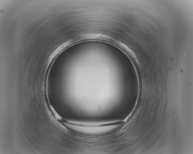 X0000081611330200702051344